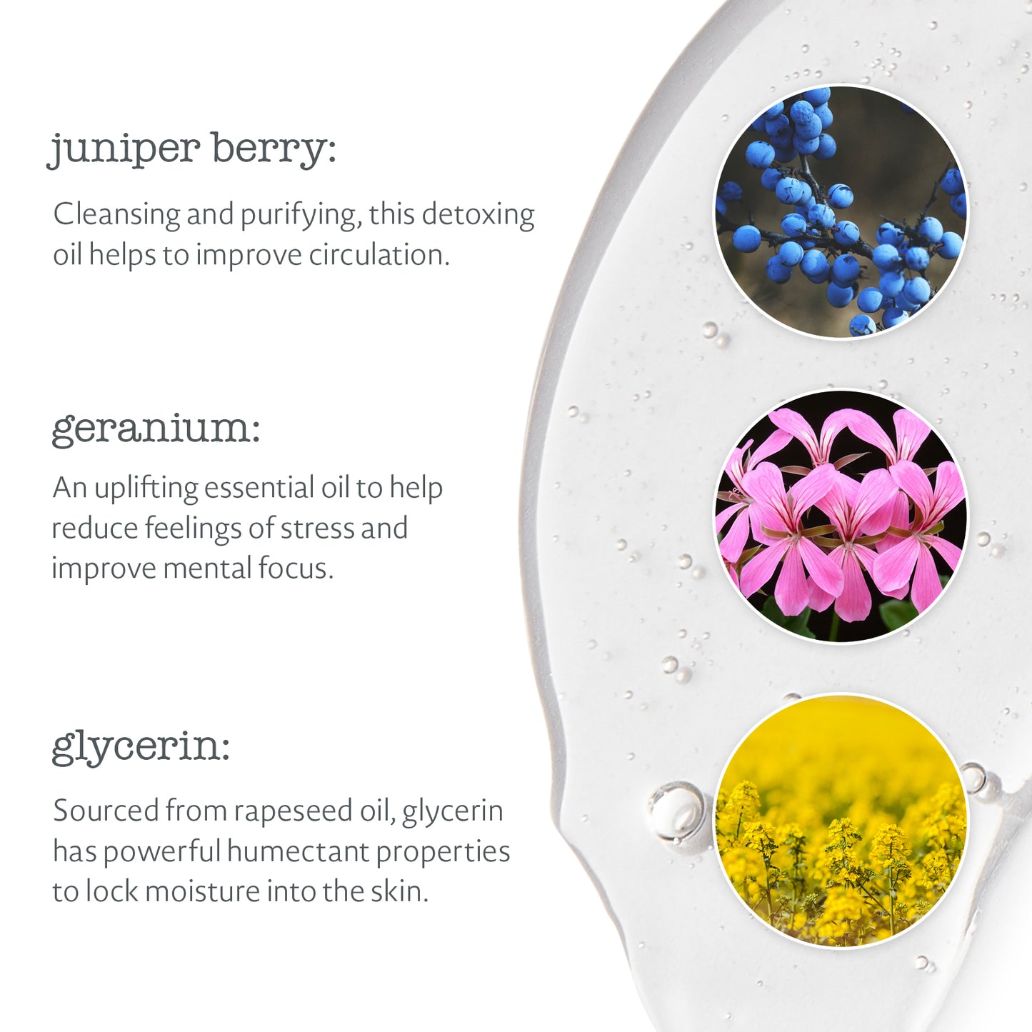 Juniper Berry & Geranium Body Wash