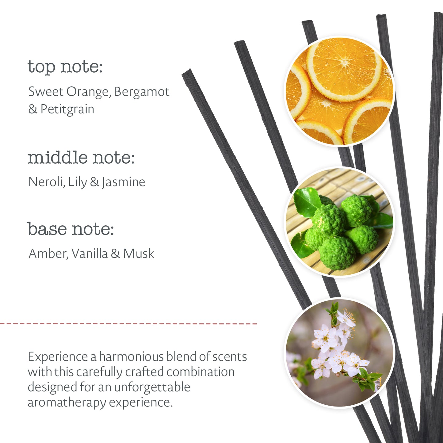Zest Sweet Orange & Bergamot Aromatherapy Reed Diffuser
